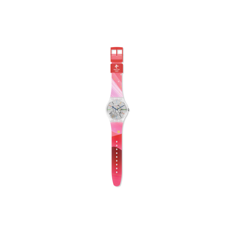 SWATCH 41mm SO29Z105