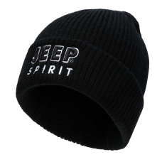 JEEP SPIRIT