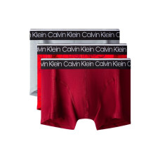 CKCalvin Klein Logo 3