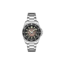 SPINNAKERTESEI 43mm SP-5127-22
