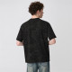 FAIRWHALE T
