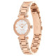 COACHCARY 28mm