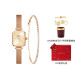 Daniel Wellington DW00100651+DW00400387