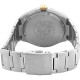 CITIZEN100 43mm