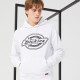 Dickies Logo