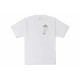 Converse T