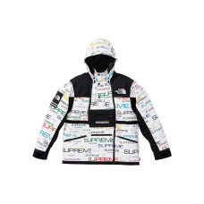 Supreme x the north face logo