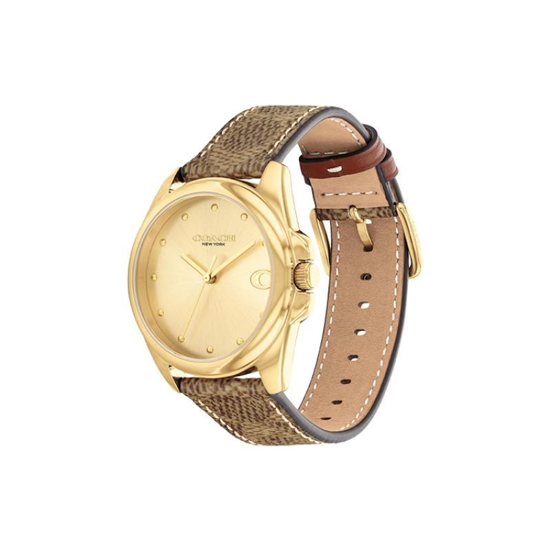 COACHGREYSON 36mm 14504111