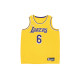 Nike NBA SW 6