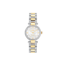 COACHCary 28mm 14503840