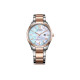 CITIZEN 41mm EW2456-88D