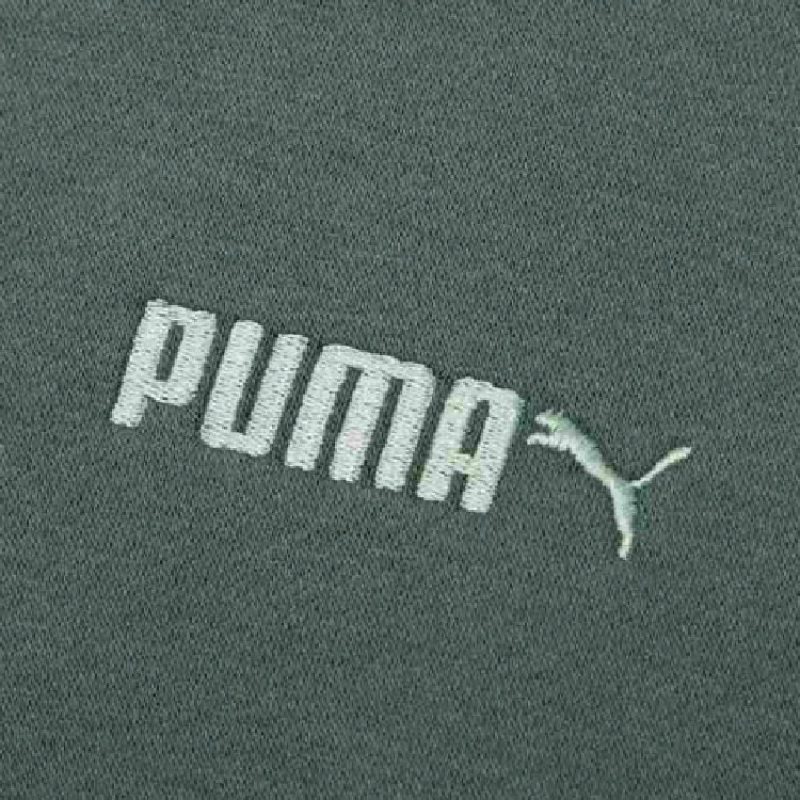 PUMA FW22 Logo