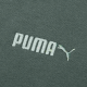 PUMA FW22 Logo