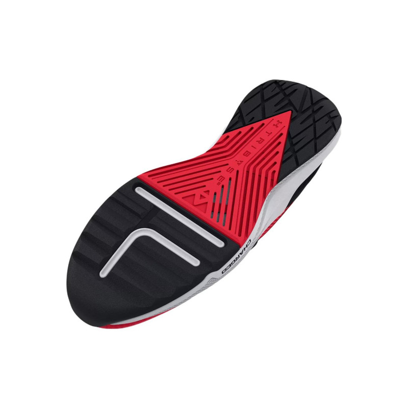 Under Armour Project Rock Bsr 2