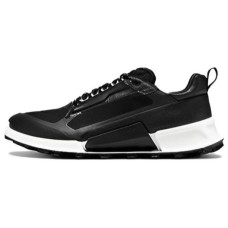 ecco 2.1