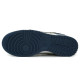 Nike Dunk vibe 520