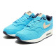 Nike Air Max 1 PRM 