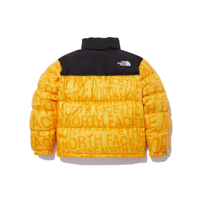 THE NORTH FACE Logo