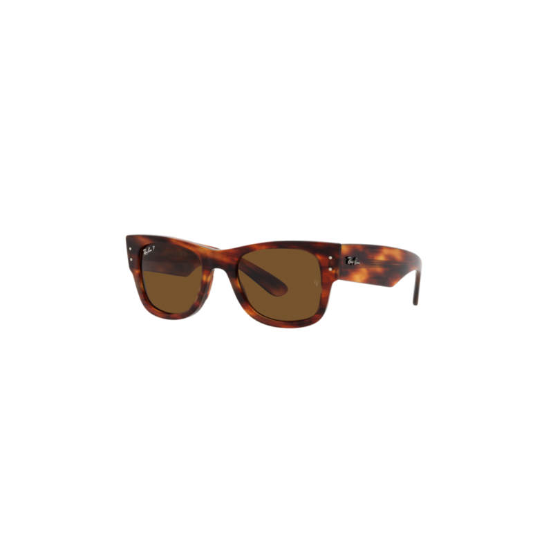RayBan