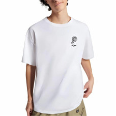 Converse T