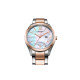 CITIZEN 41mm EW2456-88D