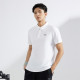 361 LogoPolo