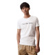 CKCalvin Klein CK T