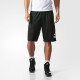 adidas Crzylght Short