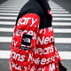 Supreme x THE NORTH FACE TNF FW15
