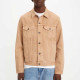 levis Levis