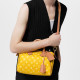 LOUIS VUITTON Speedy 25