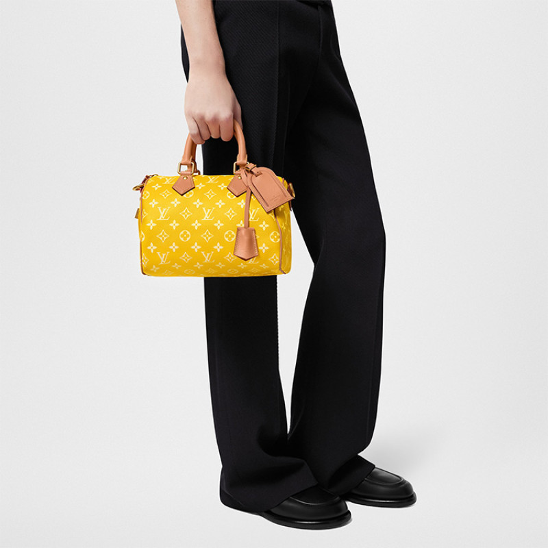 LOUIS VUITTON Speedy 25