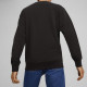 PUMA DOWNTOWN 180 CREW TR Logo