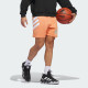 adidas SS24 Harden Graphic Shorts