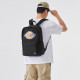 Dickies Logo
