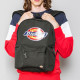 Dickies Logo