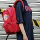 Dickies Logo