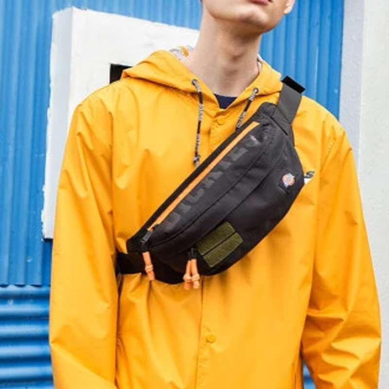 Dickies Logo
