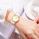COACHGREYSON 36mm C 14504141