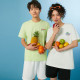 Skechers T
