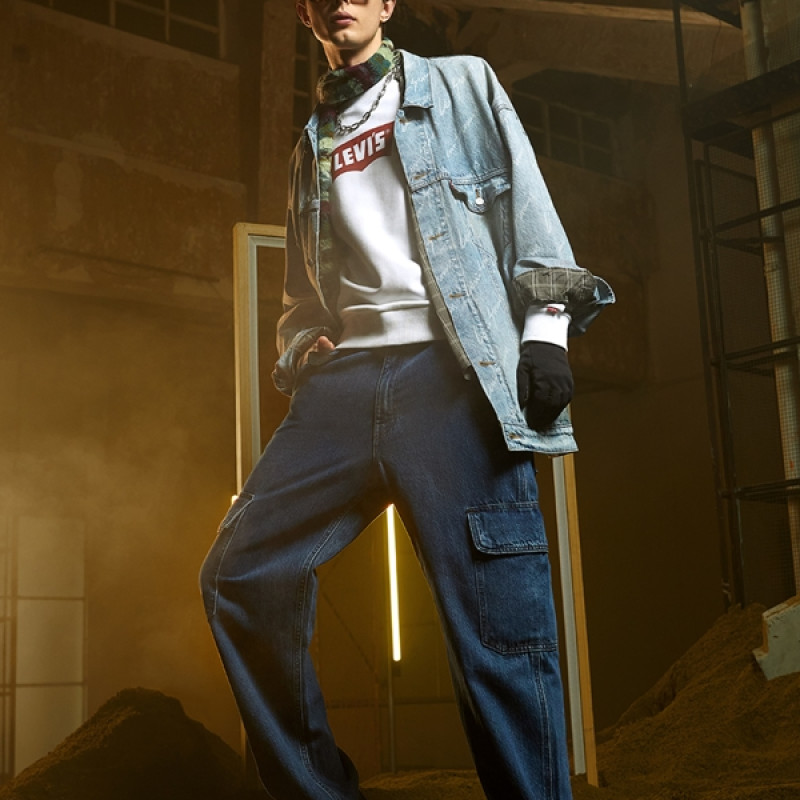 levis FW24