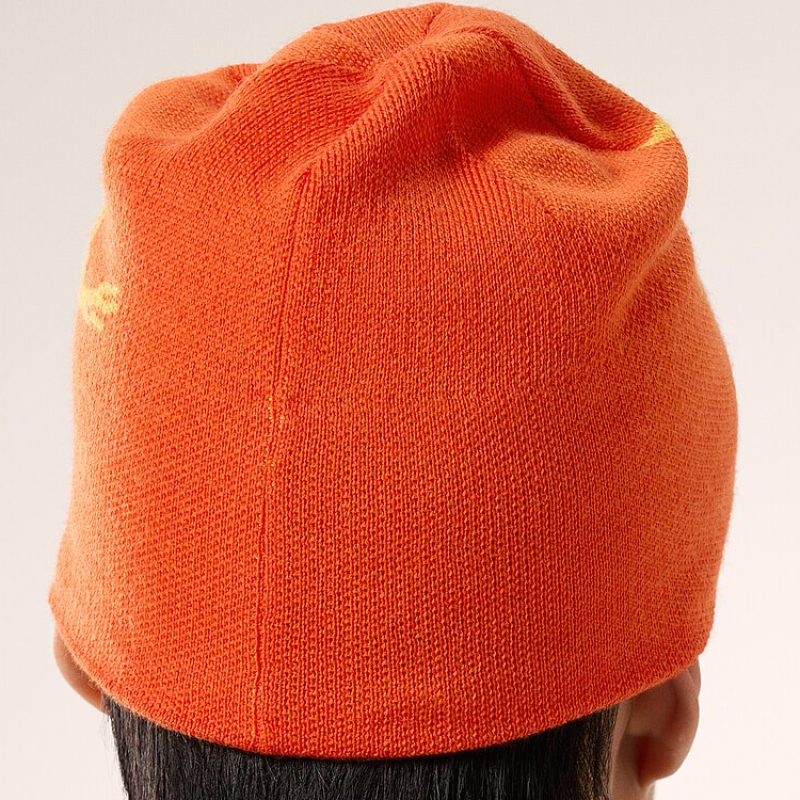 Arcteryx