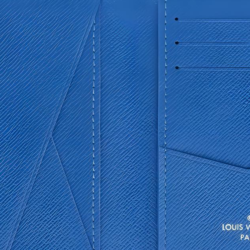 LOUIS VUITTON POCKET ORGANIZER Pastel Colors