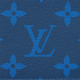 LOUIS VUITTON Coin Monogram Pacific