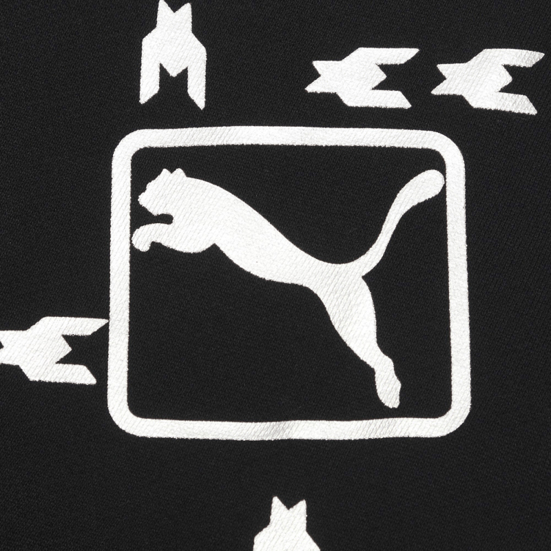 Puma Metallic Logo