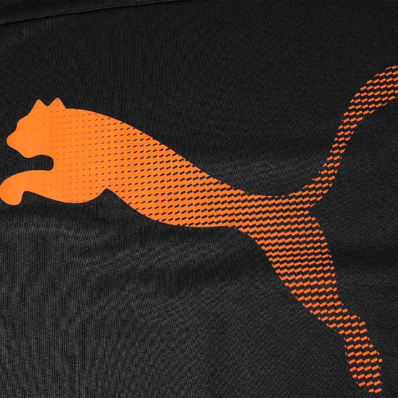 PUMA the BEYOND SPEED Longsleeve Jersey T