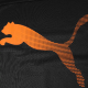 PUMA the BEYOND SPEED Longsleeve Jersey T