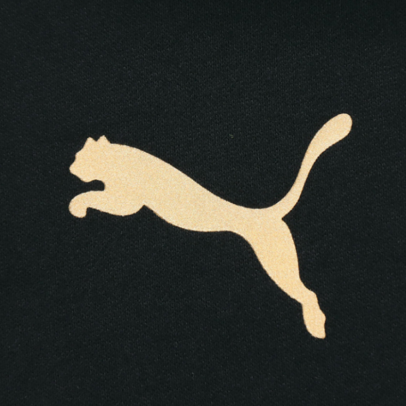 Puma Metallic