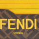 FENDI Logo