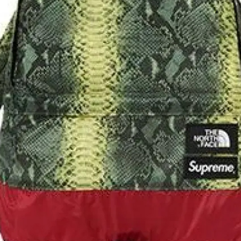 Supreme SS18 x The North Face LOGO